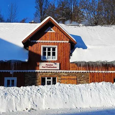 Pod Tresnovkou Chalet *
